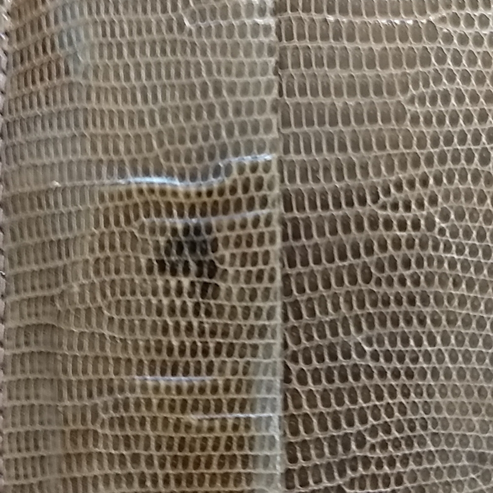 Lizard Handbag - Picture 10 of 10